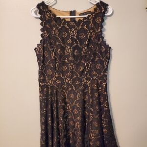 City Studio Lace Overlay Midi Dress - Black and Tan